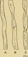 An illustration from Cyclopedia of textile work; (1907)
