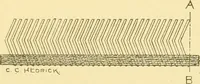 An illustration from Cyclopedia of textile work : a general reference library on cotton, woollen and worsted yarn manufacture, weaving, designing, chemistry and dyeing, finishing, knitting, and allied subjects (1907)