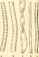 An illustration from Cyclopedia of textile work : a general reference library on cotton, woollen and worsted yarn manufacture, weaving, designing, chemistry and dyeing, finishing, knitting, and allied subjects (1907)