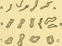 An illustration from Cyclopedia of textile work : a general reference library on cotton, woollen and worsted yarn manufacture, weaving, designing, chemistry and dyeing, finishing, knitting, and allied subjects (1907)