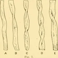An illustration from Cyclopedia of textile work : a general reference library on cotton, woollen and worsted yarn manufacture, weaving, designing, chemistry and dyeing, finishing, knitting, and allied subjects (1907)