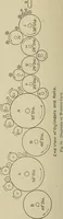 An illustration from Cyclopedia of textile work : a general reference library on cotton, woolen and worsted yarn manufacture, weaving, designing, chemistry and dyeing, finishing, knitting, and allied subjects (1911)