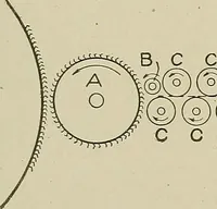 An illustration from Cyclopedia of textile work : a general reference library on cotton, woolen and worsted yarn manufacture, weaving, designing, chemistry and dyeing, finishing, knitting, and allied subjects (1911)