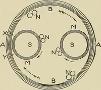An illustration from Cyclopedia of textile work : a general reference library on cotton, woolen and worsted yarn manufacture, weaving, designing, chemistry and dyeing, finishing, knitting, and allied subjects (1911)