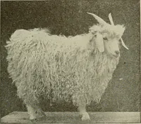 An illustration from Cyclopedia of textile work : a general reference library on cotton, woolen and worsted yarn manufacture, weaving, designing, chemistry and dyeing, finishing, knitting, and allied subjects (1911)