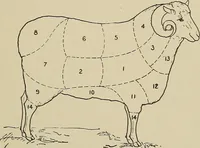 An illustration from Cyclopedia of textile work : a general reference library on cotton, woolen and worsted yarn manufacture, weaving, designing, chemistry and dyeing, finishing, knitting, and allied subjects (1911)