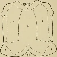 An illustration from Cyclopedia of textile work : a general reference library on cotton, woolen and worsted yarn manufacture, weaving, designing, chemistry and dyeing, finishing, knitting, and allied subjects (1911)