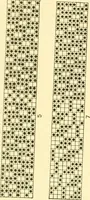 An illustration from Cyclopedia of textile work : a general reference library on cotton, woollen and worsted yarn manufacture, weaving, designing, chemistry and dyeing, finishing, knitting, and allied subjects (1907)