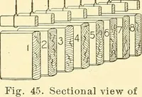 An illustration from Cyclopedia of textile work : a general reference library on cotton, woolen and worsted yarn manufacture, weaving, designing, chemistry and dyeing, finishing, knitting, and allied subjects (1911)