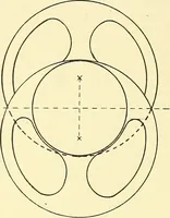 An illustration from Cyclopedia of textile work : a general reference library on cotton, woolen and worsted yarn manufacture, weaving, designing, chemistry and dyeing, finishing, knitting, and allied subjects (1911)