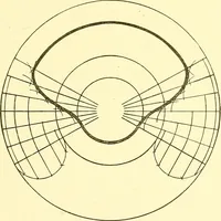 An illustration from Cyclopedia of textile work : a general reference library on cotton, woolen and worsted yarn manufacture, weaving, designing, chemistry and dyeing, finishing, knitting, and allied subjects (1911)