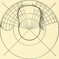 An illustration from Cyclopedia of textile work : a general reference library on cotton, woolen and worsted yarn manufacture, weaving, designing, chemistry and dyeing, finishing, knitting, and allied subjects (1911)