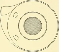 An illustration from Cyclopedia of textile work : a general reference library on cotton, woolen and worsted yarn manufacture, weaving, designing, chemistry and dyeing, finishing, knitting, and allied subjects (1911)