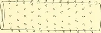 An illustration from Cyclopedia of textile work : a general reference library on cotton, woolen and worsted yarn manufacture, weaving, designing, chemistry and dyeing, finishing, knitting, and allied subjects (1911)