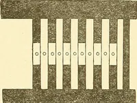 An illustration from Cyclopedia of textile work : a general reference library on cotton, woolen and worsted yarn manufacture, weaving, designing, chemistry and dyeing, finishing, knitting, and allied subjects (1911)