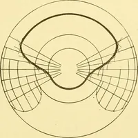 An illustration from Cyclopedia of textile work : a general reference library on cotton, woollen and worsted yarn manufacture, weaving, designing, chemistry and dyeing, finishing, knitting, and allied subjects (1907)
