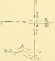 An illustration from Cyclopedia of textile work : a general reference library on cotton, woollen and worsted yarn manufacture, weaving, designing, chemistry and dyeing, finishing, knitting, and allied subjects (1907)