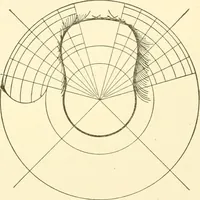 An illustration from Cyclopedia of textile work : a general reference library on cotton, woollen and worsted yarn manufacture, weaving, designing, chemistry and dyeing, finishing, knitting, and allied subjects (1907)