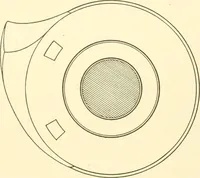 An illustration from Cyclopedia of textile work : a general reference library on cotton, woollen and worsted yarn manufacture, weaving, designing, chemistry and dyeing, finishing, knitting, and allied subjects (1907)