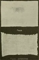 An illustration from Cyclopedia of textile work : a general reference library on cotton, woolen and worsted yarn manufacture, weaving, designing, chemistry and dyeing, finishing, knitting, and allied subjects (1911)