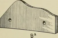 An illustration from Cyclopedia of textile work : a general reference library on cotton, woolen and worsted yarn manufacture, weaving, designing, chemistry and dyeing, finishing, knitting, and allied subjects (1911)
