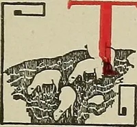 An illustration from Cyclopedia of textile work : a general reference library on cotton, woolen and worsted yarn manufacture, weaving, designing, chemistry and dyeing, finishing, knitting, and allied subjects (1911)