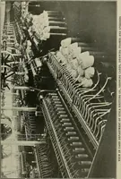 An illustration from Cyclopedia of textile work : a general reference library on cotton, woolen and worsted yarn manufacture, weaving, designing, chemistry and dyeing, finishing, knitting, and allied subjects (1911)