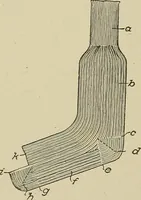 An illustration from Cyclopedia of textile work : a general reference library on cotton, woolen and worsted yarn manufacture, weaving, designing, chemistry and dyeing, finishing, knitting, and allied subjects (1911)