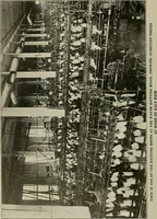 An illustration from Cyclopedia of textile work : a general reference library on cotton, woolen and worsted yarn manufacture, weaving, designing, chemistry and dyeing, finishing, knitting, and allied subjects (1911)