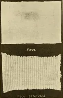 Picture 64 of 257 from Cyclopedia of textile work : a general reference library on cotton, woollen and worsted yarn manufacture, weaving, designing, chemistry and dyeing, finishing, knitting, and allied subjects (1907), leaf 107