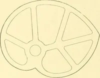 Picture 9 of 257 from Cyclopedia of textile work : a general reference library on cotton, woollen and worsted yarn manufacture, weaving, designing, chemistry and dyeing, finishing, knitting, and allied subjects (1907), leaf 24