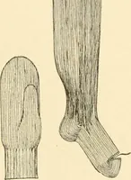 Picture 171 of 257 from Cyclopedia of textile work : a general reference library on cotton, woollen and worsted yarn manufacture, weaving, designing, chemistry and dyeing, finishing, knitting, and allied subjects (1907), leaf 247