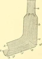 Picture 208 of 257 from Cyclopedia of textile work : a general reference library on cotton, woollen and worsted yarn manufacture, weaving, designing, chemistry and dyeing, finishing, knitting, and allied subjects (1907), leaf 300