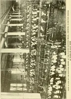 Picture 225 of 257 from Cyclopedia of textile work : a general reference library on cotton, woollen and worsted yarn manufacture, weaving, designing, chemistry and dyeing, finishing, knitting, and allied subjects (1907), leaf 332