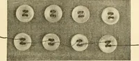 Picture 236 of 257 from Cyclopedia of textile work : a general reference library on cotton, woollen and worsted yarn manufacture, weaving, designing, chemistry and dyeing, finishing, knitting, and allied subjects (1907), leaf 349