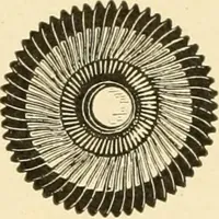 An illustration from Cyclopedia of textile work : a general reference library on cotton, woollen and worsted yarn manufacture, weaving, designing, chemistry and dyeing, finishing, knitting, and allied subjects (1907)