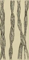 An illustration from Cyclopedia of textile work : a general reference library on cotton, woolen and worsted yarn manufacture, weaving, designing, chemistry and dyeing, finishing, knitting, and allied subjects (1911)