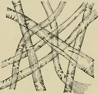 An illustration from Cyclopedia of textile work : a general reference library on cotton, woolen and worsted yarn manufacture, weaving, designing, chemistry and dyeing, finishing, knitting, and allied subjects (1911)