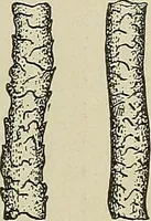 An illustration from Cyclopedia of textile work : a general reference library on cotton, woolen and worsted yarn manufacture, weaving, designing, chemistry and dyeing, finishing, knitting, and allied subjects (1911)