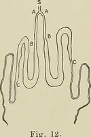 An illustration from Cyclopedia of textile work : a general reference library on cotton, woolen and worsted yarn manufacture, weaving, designing, chemistry and dyeing, finishing, knitting, and allied subjects (1911)