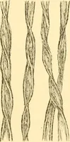 An illustration from Cyclopedia of textile work : a general reference library on cotton, woollen and worsted yarn manufacture, weaving, designing, chemistry and dyeing, finishing, knitting, and allied subjects (1907)