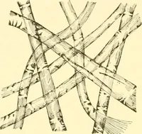 An illustration from Cyclopedia of textile work : a general reference library on cotton, woollen and worsted yarn manufacture, weaving, designing, chemistry and dyeing, finishing, knitting, and allied subjects (1907)