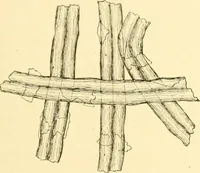An illustration from Cyclopedia of textile work : a general reference library on cotton, woollen and worsted yarn manufacture, weaving, designing, chemistry and dyeing, finishing, knitting, and allied subjects (1907)