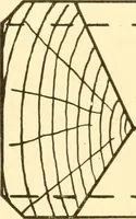 An illustration from Cyclopedia of textile work : a general reference library on cotton, woollen and worsted yarn manufacture, weaving, designing, chemistry and dyeing, finishing, knitting, and allied subjects (1907)