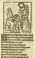 An illustration from Cy est le Romat de la roze, ou, Tout lart Damour est enclose : histoires et auctoritez et maintz beaulx propos vsitez qui a este nouuellement Corrige suffisantement et cotte bien a lauantaige com on voit en chascune page (1526)