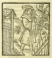 Picture 60 of 81 from Cy est le Romat de la roze, ou, Tout lart Damour est enclose : histoires et auctoritez et maintz beaulx propos vsitez qui a este nouuellement Corrige suffisantement et cotte bien a lauantaige com on voit en chascune page (1526), leaf 210