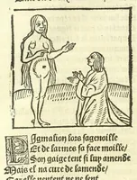 An illustration from Cy est le Romat de la roze, ou, Tout lart Damour est enclose : histoires et auctoritez et maintz beaulx propos vsitez qui a este nouuellement Corrige suffisantement et cotte bien a lauantaige com on voit en chascune page (1526)