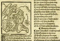 An illustration from Cy est le Romat de la roze, ou, Tout lart Damour est enclose : histoires et auctoritez et maintz beaulx propos vsitez qui a este nouuellement Corrige suffisantement et cotte bien a lauantaige com on voit en chascune page (1526)