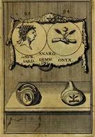 An illustration from Dactyliothecae, seu Annulorum sigillarium quorum priscos tam Graecos quam Romanos usus, ex ferro, aere, argento & auro promptuarii ... Collectis aliunde & ineditis & editis annulorum figuris auctior; (1695)