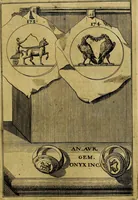 An illustration from Dactyliothecae, seu Annulorum sigillarium quorum priscos tam Graecos quam Romanos usus, ex ferro, aere, argento & auro promptuarii ... Collectis aliunde & ineditis & editis annulorum figuris auctior; (1695)